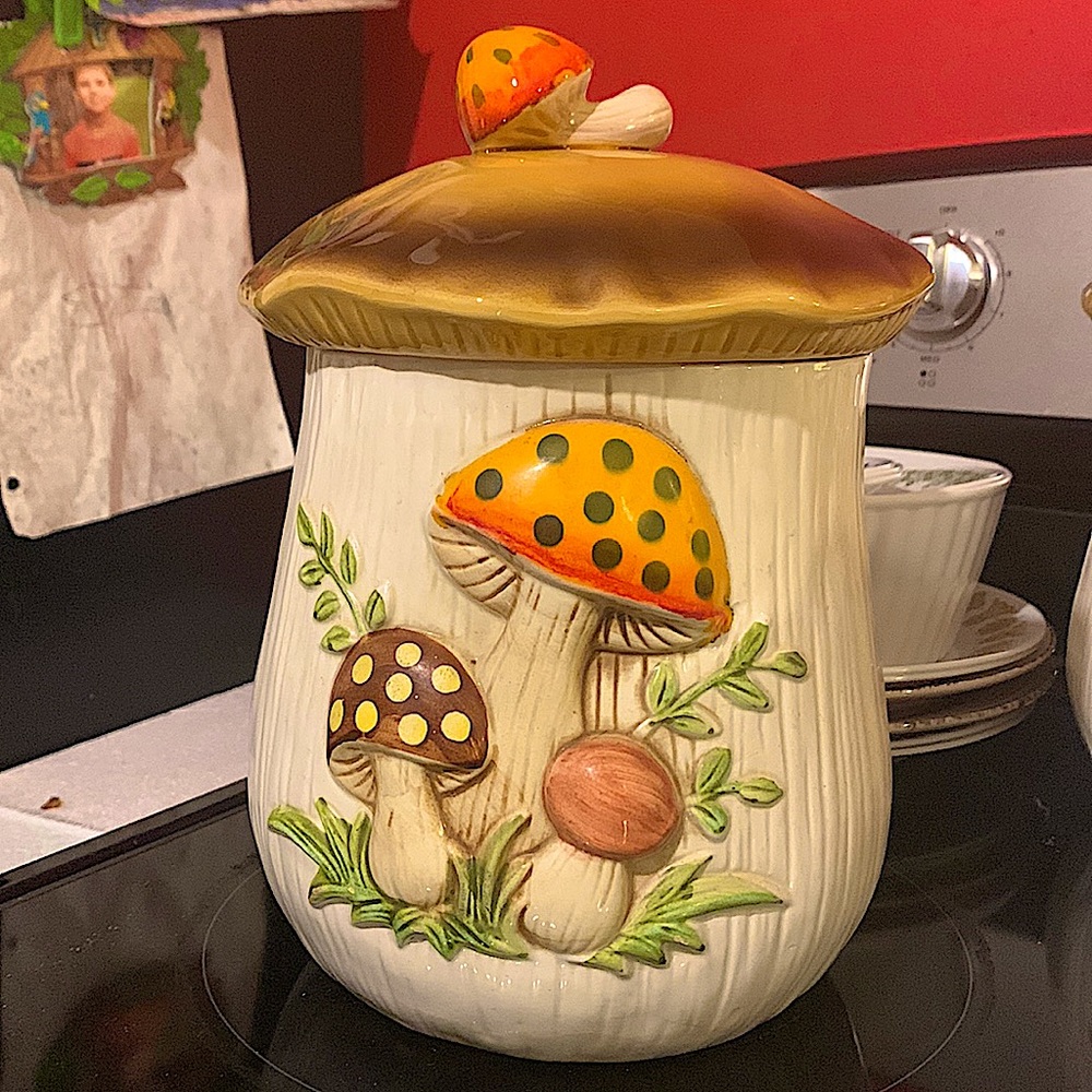 2 Large Mushroom Canisters
